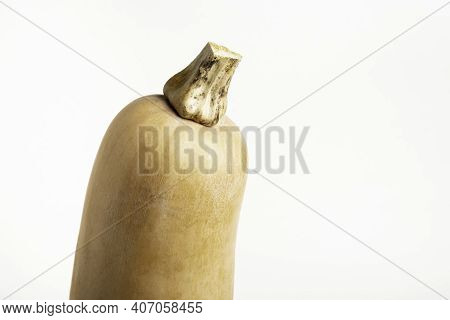 A Close-up Shot Of A Butternut Squash Set On A Plain White Background.