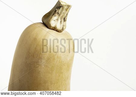 A Close-up Shot Of A Butternut Squash Set On A Plain White Background.