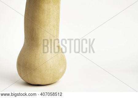 A Close-up Shot Of A Butternut Squash Set On A Plain White Background.