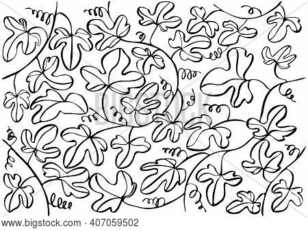 Vector Linear Illustration With Abstract Leaves And Pumpkin Branch. Concept Of Vegetables, Solanacea