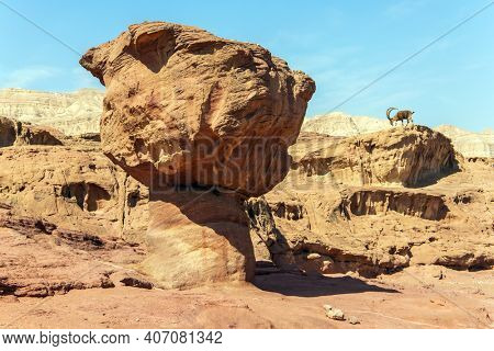 Red sandstone rock 