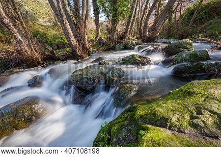 Mountain Stream Rushing Through A Woodland And Over Boulders Near Feliceto In The Balagne Region Of 