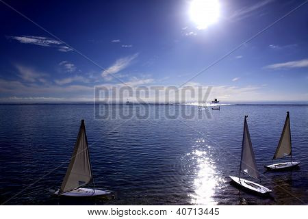 weiÃŸe Segelboote