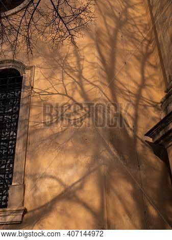 Abstract Background Of Brown Wall With Shadows From Trees Beautiful Vintage Wooden Door Wondow Antiq