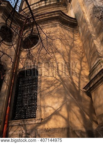 Abstract Background Of Brown Wall With Shadows From Trees Beautiful Vintage Wooden Door Wondow Antiq