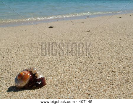 Ocean Beach