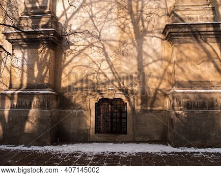 Abstract Background Of Light Brown Wall With Shadows From Trees. Beautiful Vintage Wooden Door And W