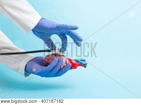 The Doctor Holds A Dummy Heart Of A Man In His Hand And Listens To It With A Stethoscope On A Blue B