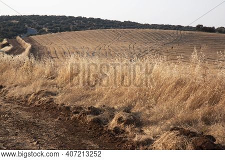 Landscapes Of Andalusia In Spain / Wild Nature In The Fields Of Andalusia