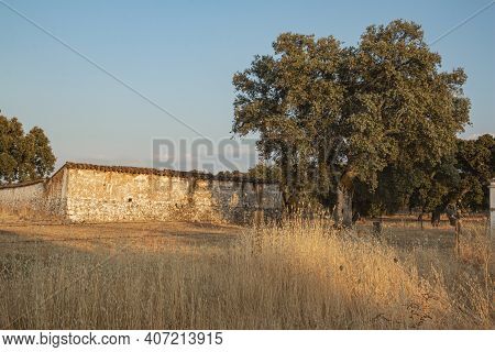 Animal Farm In The Fields Of Andalusia