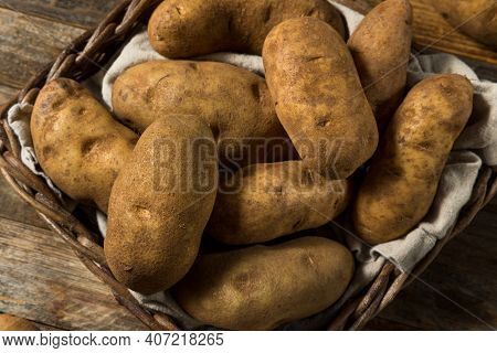Raw Borwn Organic Russet Potatoes