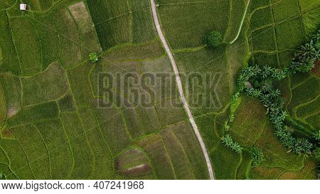 Aerial View Of Rice Fields On Terraced Of Cariu, Bogor, Indonesia. Indonesia Landscapes. Bogor - Ind