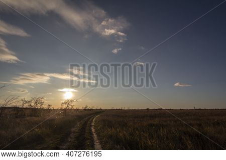 Hiking Sandy Dirt Path At Sunset In The Suboticka Pescara, Near The Serbia City Of Subotica, In Vojv