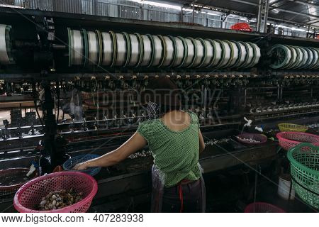 Female Worker Wearing Mask Processing Silk Worms In A Silk Factory.