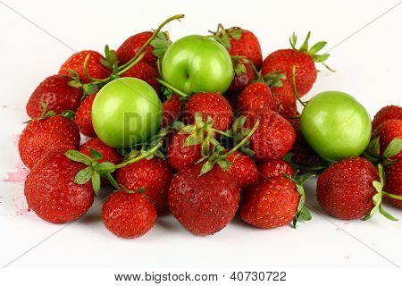 Fresh