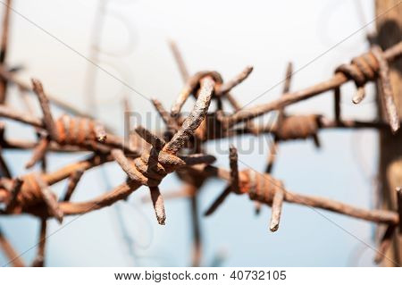 Croisé Barb Wire