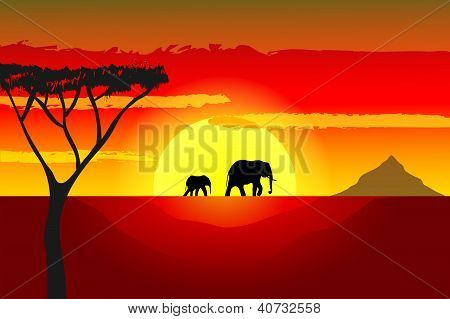 Afrikanske solnedgangen