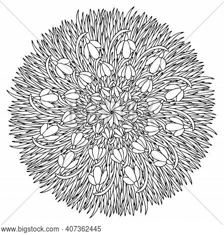 Snowdrops Flowers In The Green Mandala Stock Vector Illustration. Blossom Early Spring Flowers Color