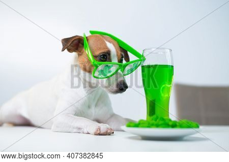 Dog With A Mug Of Green Beer And Glazed Nuts In Funny Glasses On A White Background. Jack Russell Te