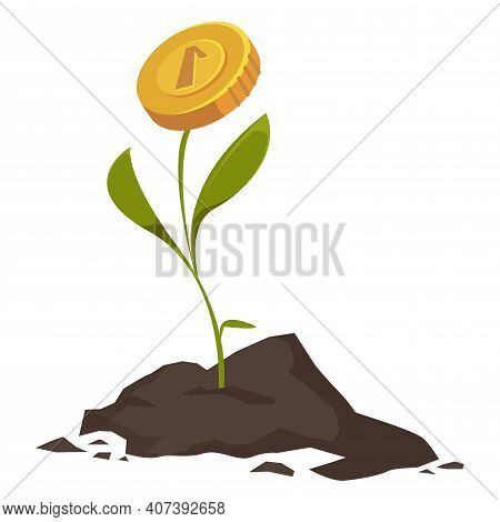The Land From Which The Plant Grows With A Golden Coin. The Concept Of Accumulation And Investment O