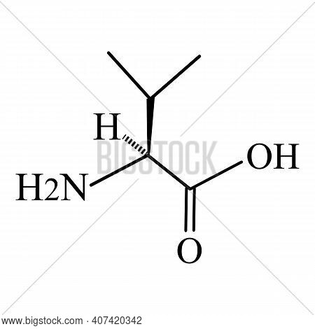 Valine Amino Acid. Chemical Molecular Formula Of Valine Amino Acid. Vector Illustration On Isolated 