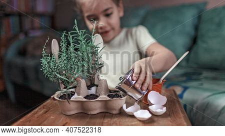 Pretty Schoolgirl Growing Kitchen Herbs In The Eggshell, Rosmary And Thyme, Zero Waste Gardening Con