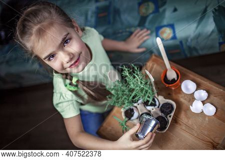 Pretty Schoolgirl Growing Kitchen Herbs In The Eggshell, Rosmary And Thyme, Zero Waste Gardening Con