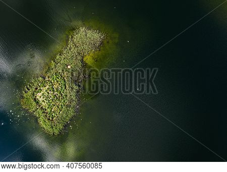 Drone View From Above Of Small Grass Island In The Forest Lake. Summer Landscape. Scenic Landscape.