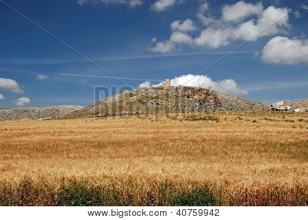 Grano campo e castello, Teba, Andalusia, Spagna.