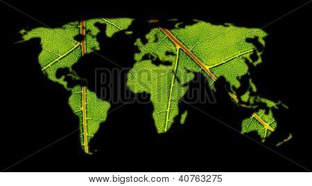 World Map With structure of a Leaf