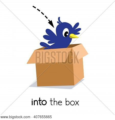 Preposition Of Movemen. Bird Jumps Into The Box