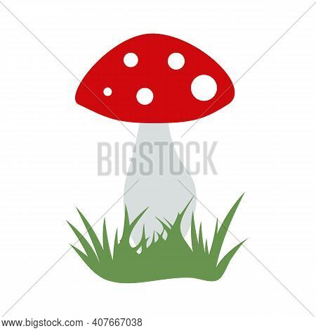 Great Toadstool On White Background. Vector Image.