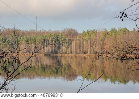 Mirror Reflection Of Trees On The Lake Water Surface In A Dutch Reserve, Pine Trees Among Bare Trees