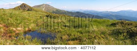 Vue sur la montagne l'été
