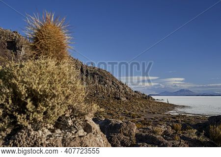 Fish Island At Salar De Uyuni, Salar De Tunupa, Worlds Largest Salt Flat, In The Altiplano Of Bolivi