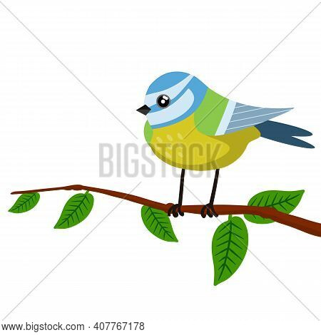 Titmouse On A Tree Branch. Green Tree And Bird. Cute Forest Animal. Element Of Spring Forest Landsca