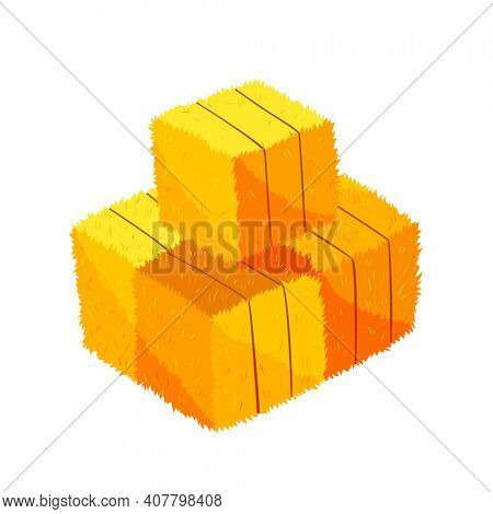 Golden color bale of hay. Bale of hay or straw isolated on white background. Flat dried haystack, farming haymow bale hayloft, agricultural rural haycock