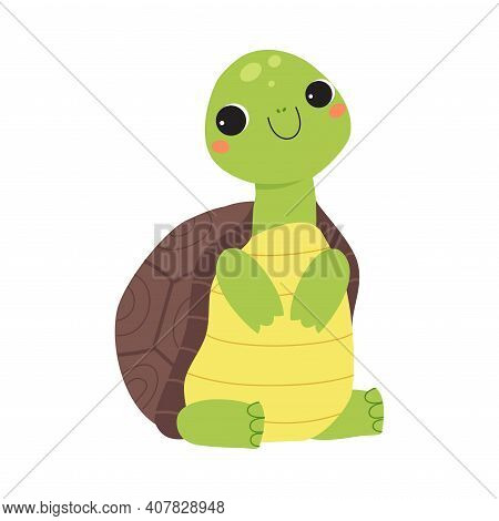Happy Green Turtle Sitting And Smiling Vector Illustration