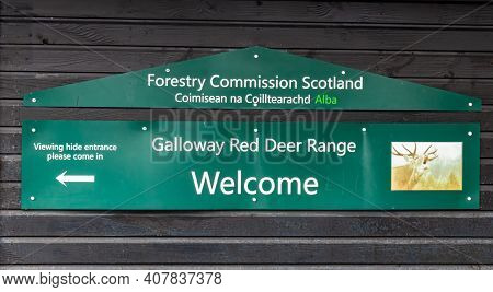 Clatteringshaws, Scotland - December 21st 2020: Galloway Red Deer Range In The Galloway Forest Park