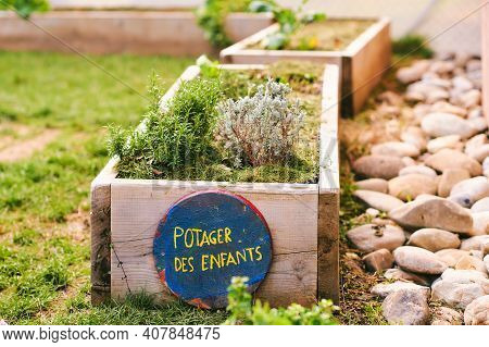 Wooden Box With Rosemary, French Sign Potager Des Enfants - Children's Vegetable Garden. Small Garde