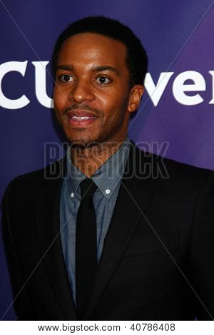 LOS ANGELES - JAN-6: Andra Holland besucht der NBCUniversal 2013 TCA Press Tour 