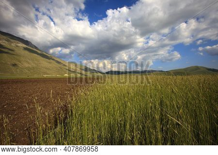 Norcia (pg), Italy - May 25, 2015: The Fields Around Castelluccio Di Norcia, Highland Of Castellucci