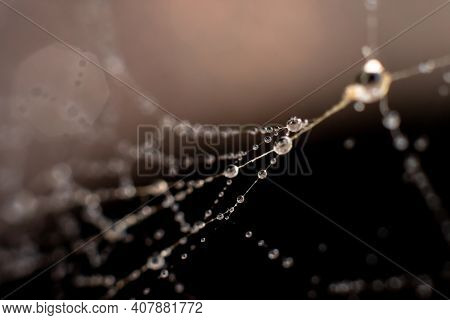 Natural Background Made Of Wet Spiderweb With Thin Threads And Waterdops On It. Thin Web