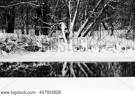Black And White Snowy Forest, Ice Covered River And Polynya With Reflection Of Trees At Gray Snowing