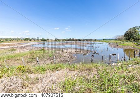 Panama Jobo Las Lajas, Reflections In The Pond On A Sunny Day