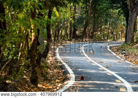 Asphalt Road In Forest ,chiang Mai
North Of Thailand