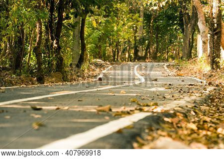Asphalt Road In Forest ,chiang Mai
North Of Thailand