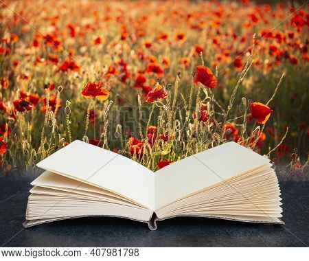 Digital Composite Image Of Beautiful Summer Landscape Of Poppy Field In English Countryside During L