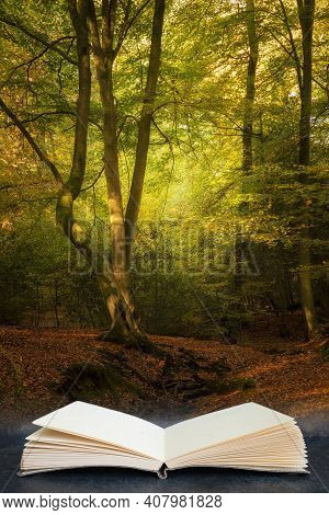Digital Composite Image Of Beautiful Autumn Fall Colorful Vibrant Forest Landscape Coming Out Of Pag