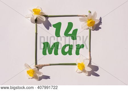 March 14th. Day 14 Of Month , Calendar Date. Frame From Flowers Of A Narcissus On A Light Background